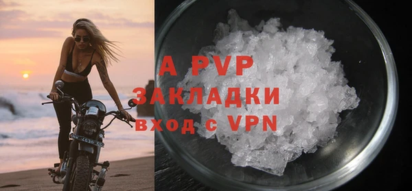 ГАЛЛЮЦИНОГЕННЫЕ ГРИБЫ Тайга