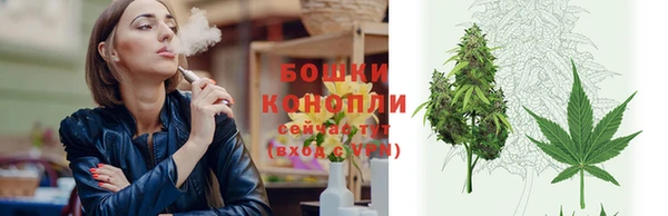 тгк Дмитров