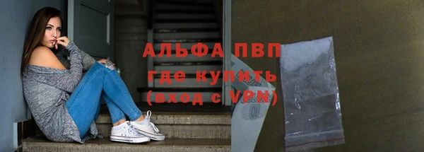 тгк Дмитров