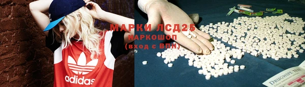 тгк Дмитров