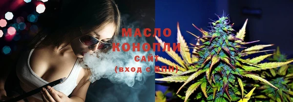 тгк Дмитров