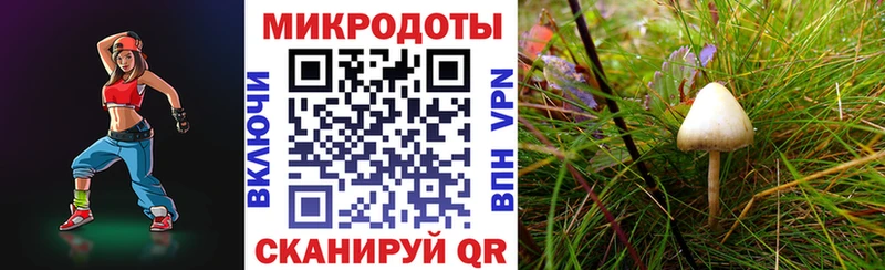 Псилоцибиновые грибы Magic Shrooms  Тотьма 